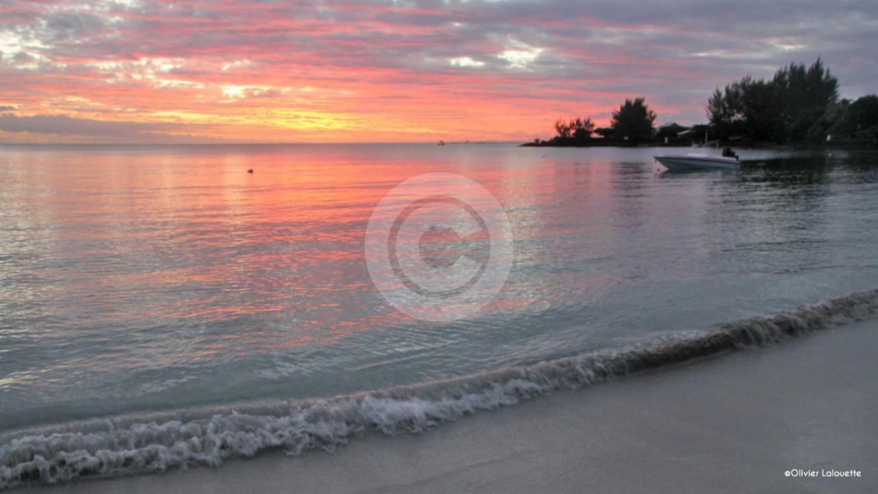 Fantastic Spacious Beachfront Villavacances Гранд-Бэй Экстерьер фото